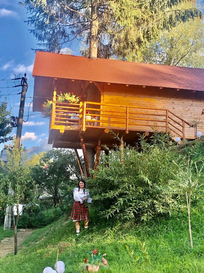Domeniul Horj Casa Din Deal מויסי מראה חיצוני תמונה